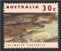 Saltwater Crocodile (Crocodylus porosus)