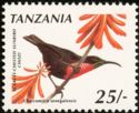 Scarlet-chested Sunbird (Chalcomitra senegalensis)