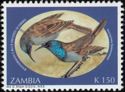 Bannerman's Sunbird (Cyanomitra bannermani)