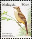Ochraceous Bulbul (Alophoixus ochraceus)