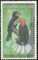 Rufous-necked Hornbill (Aceros nipalensis)