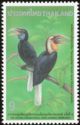 Plain-pouched Hornbill (Rhyticeros subruficollis)