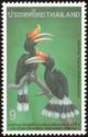 Rhinoceros Hornbill (Buceros rhinoceros)