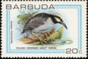 Yellow-crowned Night Heron (Nyctanassa violacea)