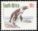 Jackass Penguin (Spheniscus demersus)