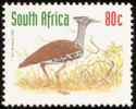 Kori Bustard (Ardeotis kori)