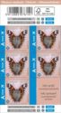Red Admiral (Vanessa atalanta) - Booklet