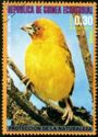 Holub's Golden Weaver (Ploceus xanthops)