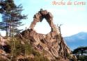 Ark of Corte, Corsica