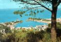 Ischia - Panorama of the harbour