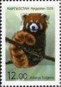 Chinese Red Panda (Ailurus fulgens)