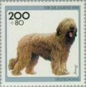 Briard