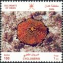 Disc Coral (Cycloseris sp.)