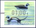 Artificial Long-tailed Duck