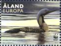 Black-throated Loon (Gavia arctica)