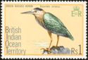 Green-backed Heron (Butorides striatus)