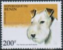 Fox Terrier (Canis lupus familiaris)