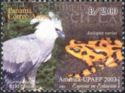 Endangered Species - Harpy Eagle (Harpia harpyja), Clown Fro