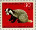European Badger (Meles meles)