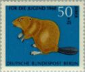 Eurasian Beaver (Castor fiber) 