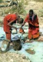 Masai Women Collecting Water at Stream