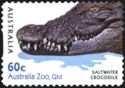 Saltwater Crocodile (Crocodylus porosus)