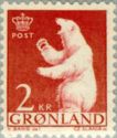 Polar Bear (Ursus maritimus)