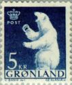 Polar Bear (Ursus maritimus)