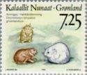 Nearctic Collared Lemming (Dicrostonyx groenlandicus)