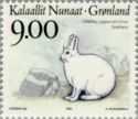 Arctic Hare (Lepus arcticus)