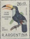 Toco Toucan (Ramphastos toco)