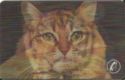 Lenticular Cat-To-Tiger (TeleCard World West '95)