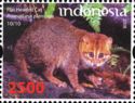 Flat-headed Cat (Prionailurus planiceps) 