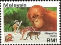 Bornean Orangutan (Pongo pygmaeus), Tiger (Panthera tigris)
