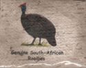 Genuine South-African Rooibos, 1 guinea fowl