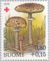 Parasol Mushroom (Macrolepiota procera)