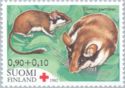 European Garden Dormouse (Eliomys quercinus)