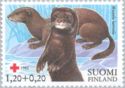 European Mink (Mustela lutreola)
