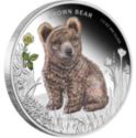50 Cents (Brown Bear)