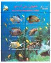 Salt Water Ornamental Fish