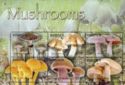 Mushrooms