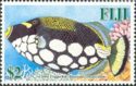Clown Triggerfish (Balistoides conspicillum)