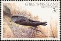 Glossy Swiftlet (Collocalia esculenta natalis)