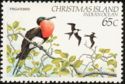 Christmas Island Frigatebird (Fregata andrewsi)