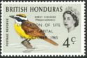 Great Kiskadee (Pitangus sulphuratus) - Overprinted