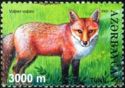 Red Fox (Vulpes vulpes)
