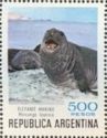 Southern Elephant Seal (Mirounga leonina) 
