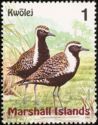 Pacific Golden Plover (Pluvialis fulva)