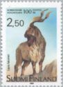 Markhor (Capra falconeri)