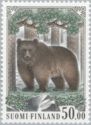 Brown Bear (Ursus arctos)